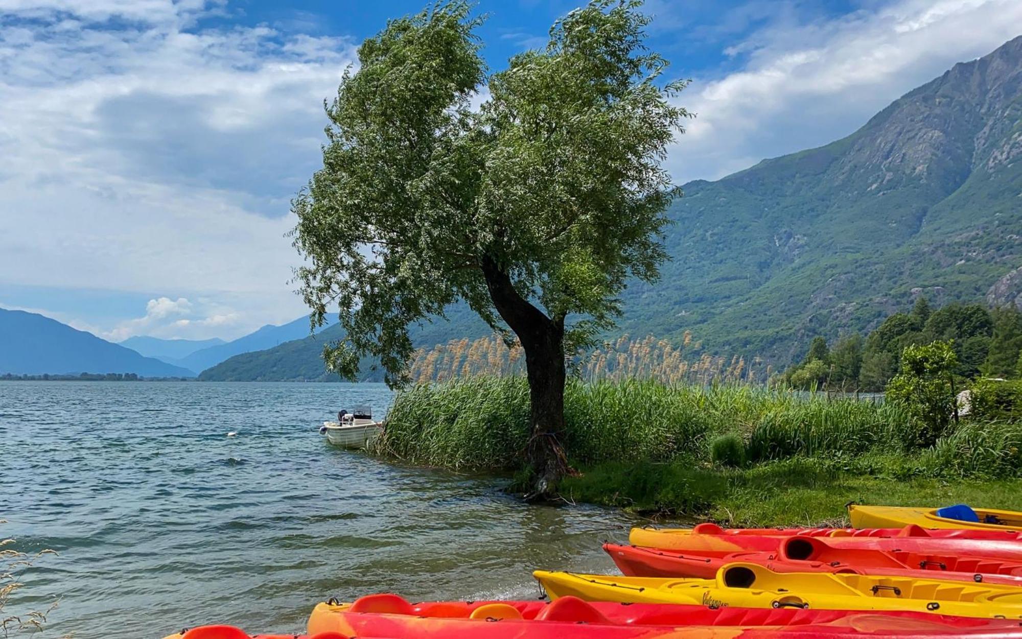 Dascio Emotion Ferienwohnung Mit Terrasse Am See Εξωτερικό φωτογραφία